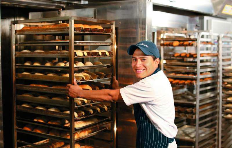 Odoo • Texto e imagen